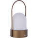 Rechargable Portable 10 inch 5 watt Painted Satin Brass Table Lamp Portable Light