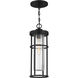 Encompass 1 Light 7.00 inch Outdoor Pendant/Chandelier