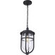 Voyage 1 Light 9.5 inch Midnight Outdoor Pendant