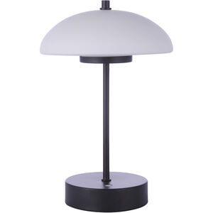 Rechargable Portable 11 inch 5.00 watt Flat Black Table Lamp Portable Light