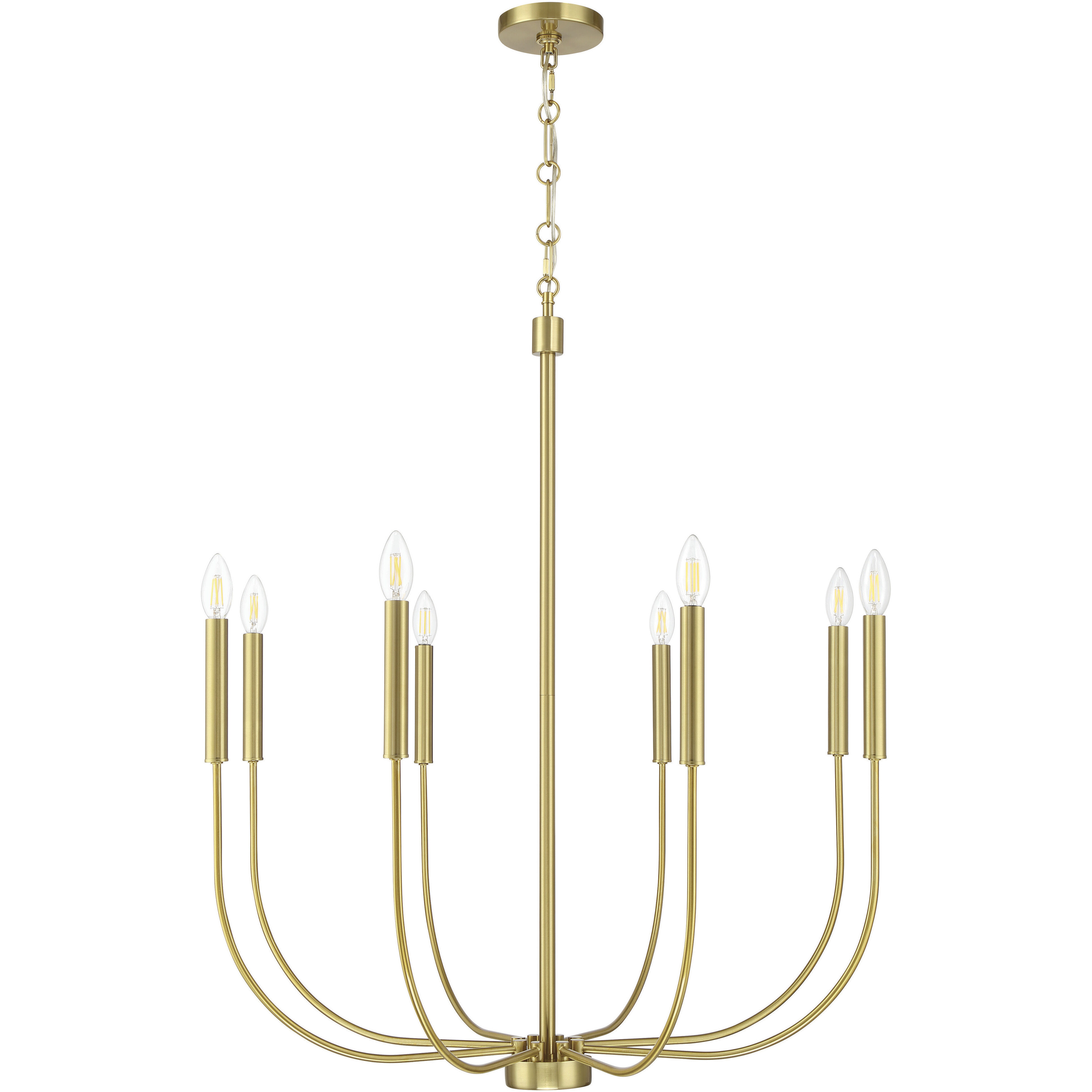 Traci 8 Light 30.75 inch Chandelier