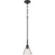 Pleated 1 Light 7.13 inch Flat Black Mini Pendant Ceiling Light
