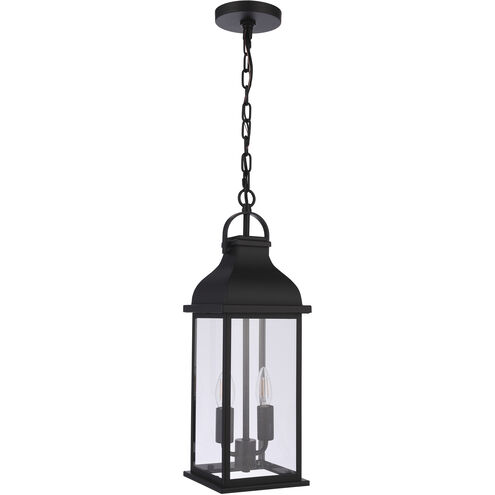 Bent Tree 2 Light 7 inch Midnight Outdoor Pendant