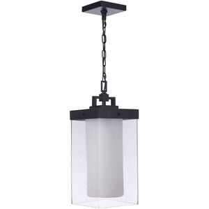 Hayner 1 Light 9 inch Midnight Outdoor Pendant