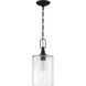 Neighborhood Dardyn 1 Light 7.5 inch Flat Black Mini Pendant Ceiling Light in Clear Glass