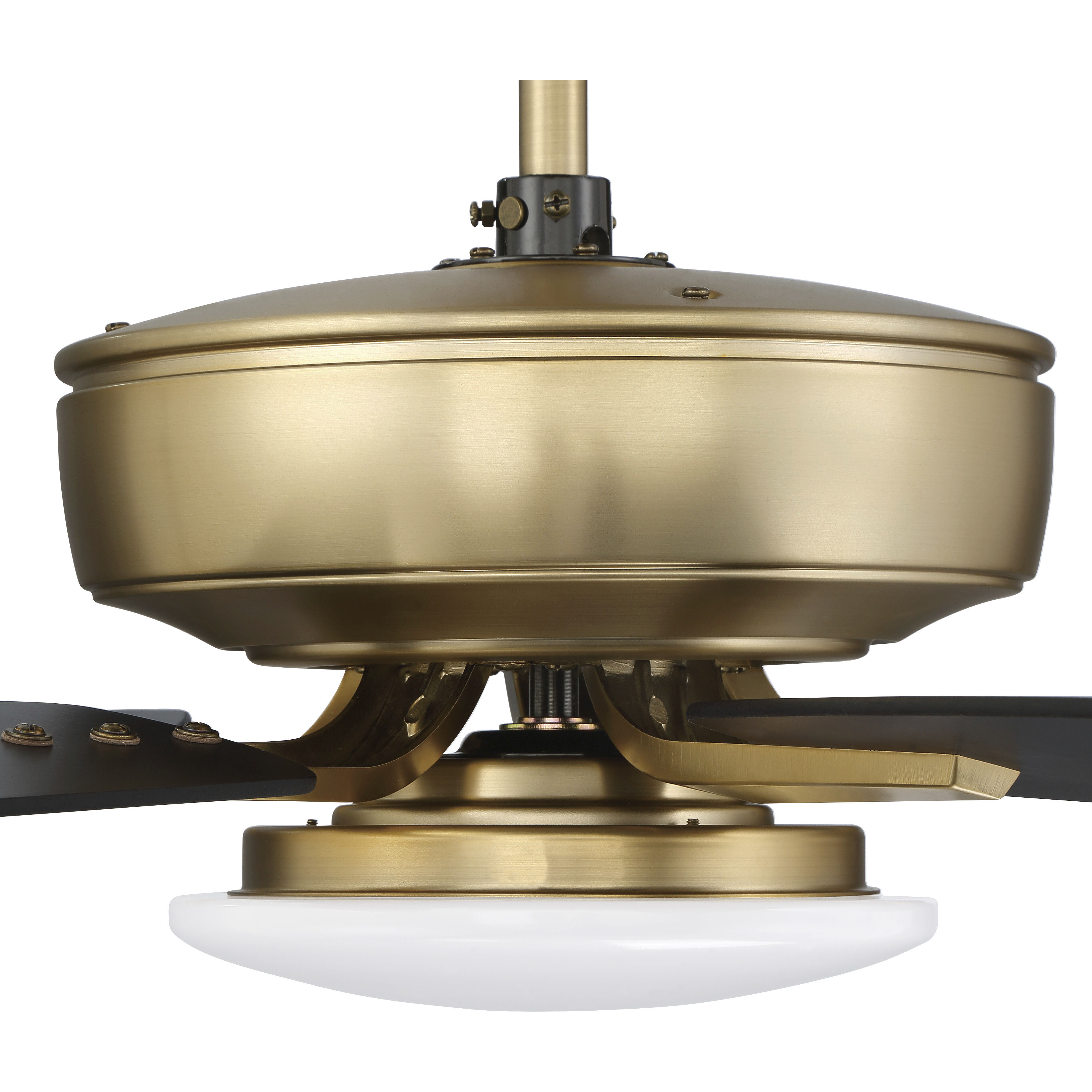 Pro Plus 112 52 inch Satin Brass with Black Walnut/Flat Black Blades Contractor Ceiling Fan, Slim