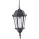 Chadwick 1 Light 9.41 inch Oiled Bronze Gilded Outdoor Pendant, Medium