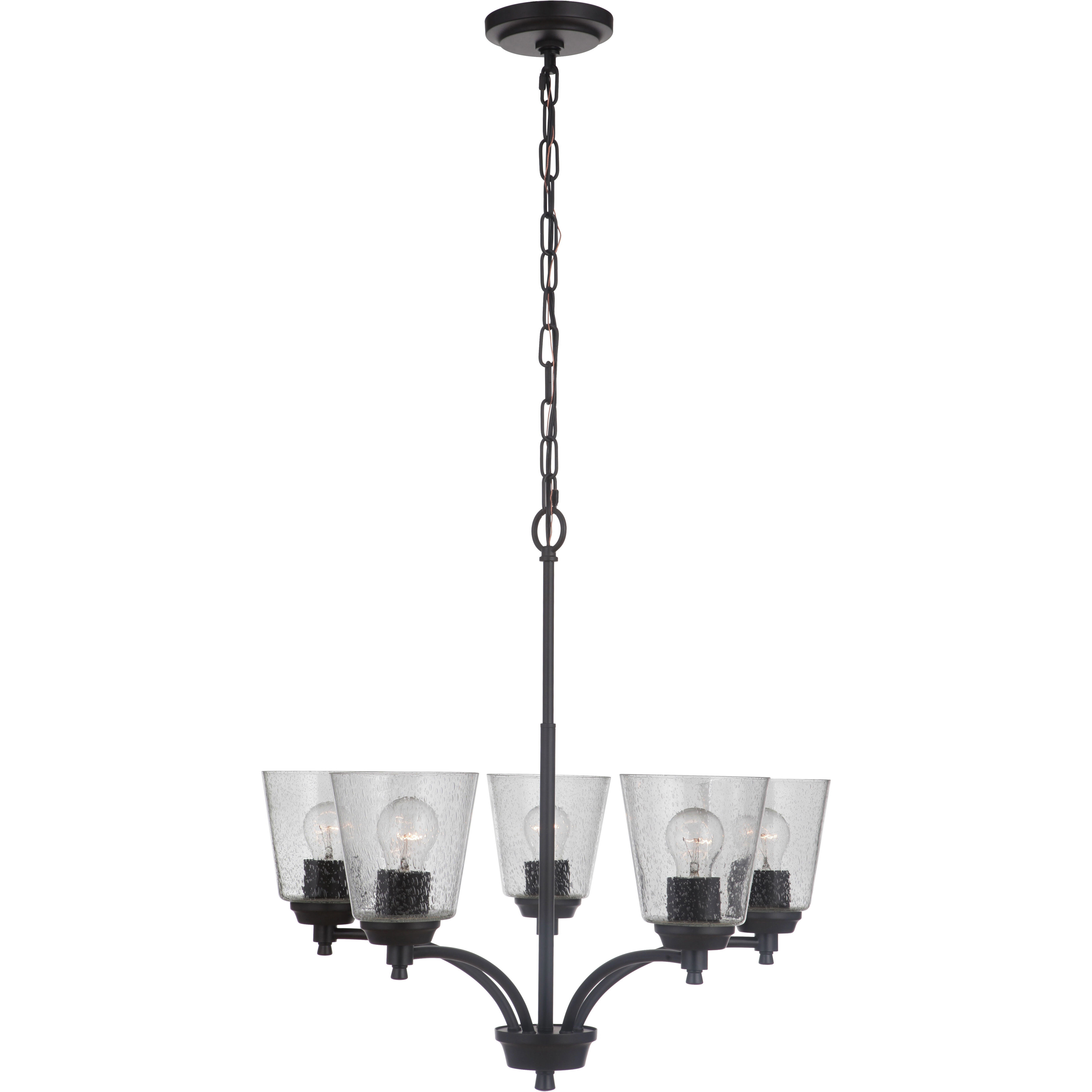 Neighborhood Tyler 5 Light 24.5 inch Flat Black Chandelier Ceiling Light in Clear Seeded, Neighborhood Collection