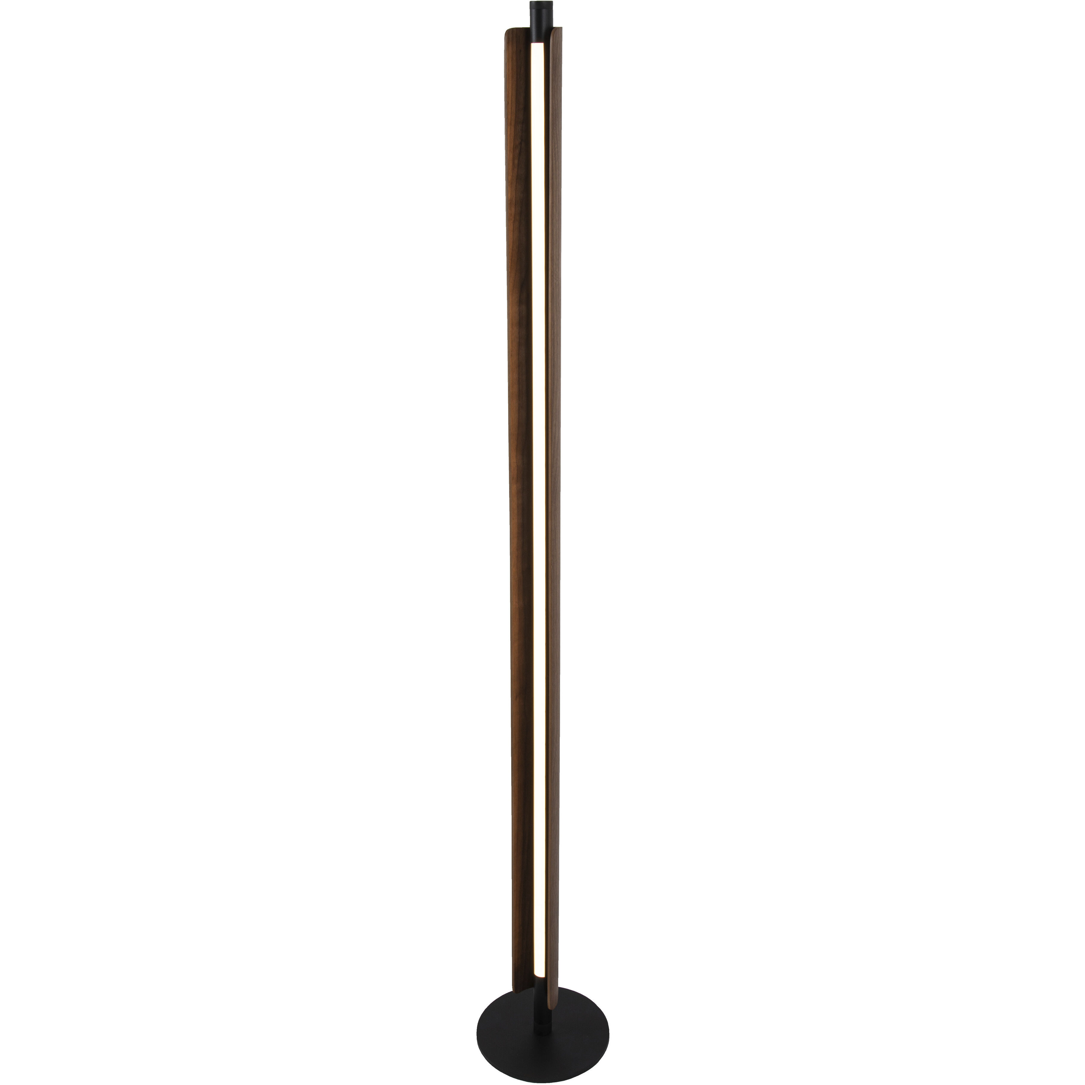 Cameron 62.8 inch 24 watt Flat Black/Walnut Floor Lamp Portable Light