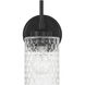 Claire Wall Sconce Wall Light in Flat Black