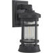Resilience 1 Light 6 inch Textured Black Outdoor Lantern in Clear, Small