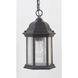 Hex Style 1 Light 6.5 inch Textured Black Outdoor Pendant in Clear Seeded, Small