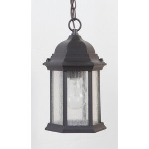 Hex Style 1 Light 7 inch Textured Black Outdoor Pendant in Textured Matte Black, Clear Seeded, Small