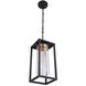 Neo 1 Light 8 inch Midnight / Satin Brass Outdoor Pendant