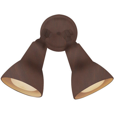 Rust flood light top