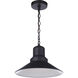 Singleton 1 Light 14 inch Midnight Outdoor Pendant