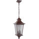 Argent II 3 Light 10.00 inch Outdoor Pendant/Chandelier