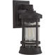 Resilience 1 Light 6 inch Bronze Outdoor Lantern in Clear