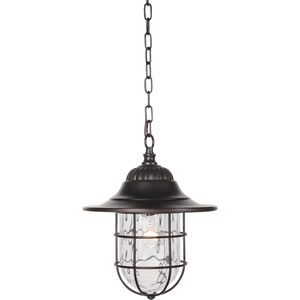 Fairmont 1 Light 12 inch Oiled Bronze Gilded Outdoor Pendant, Large