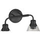Pleated 2 Light 16.88 inch Flat Black Vanity Light Wall Light