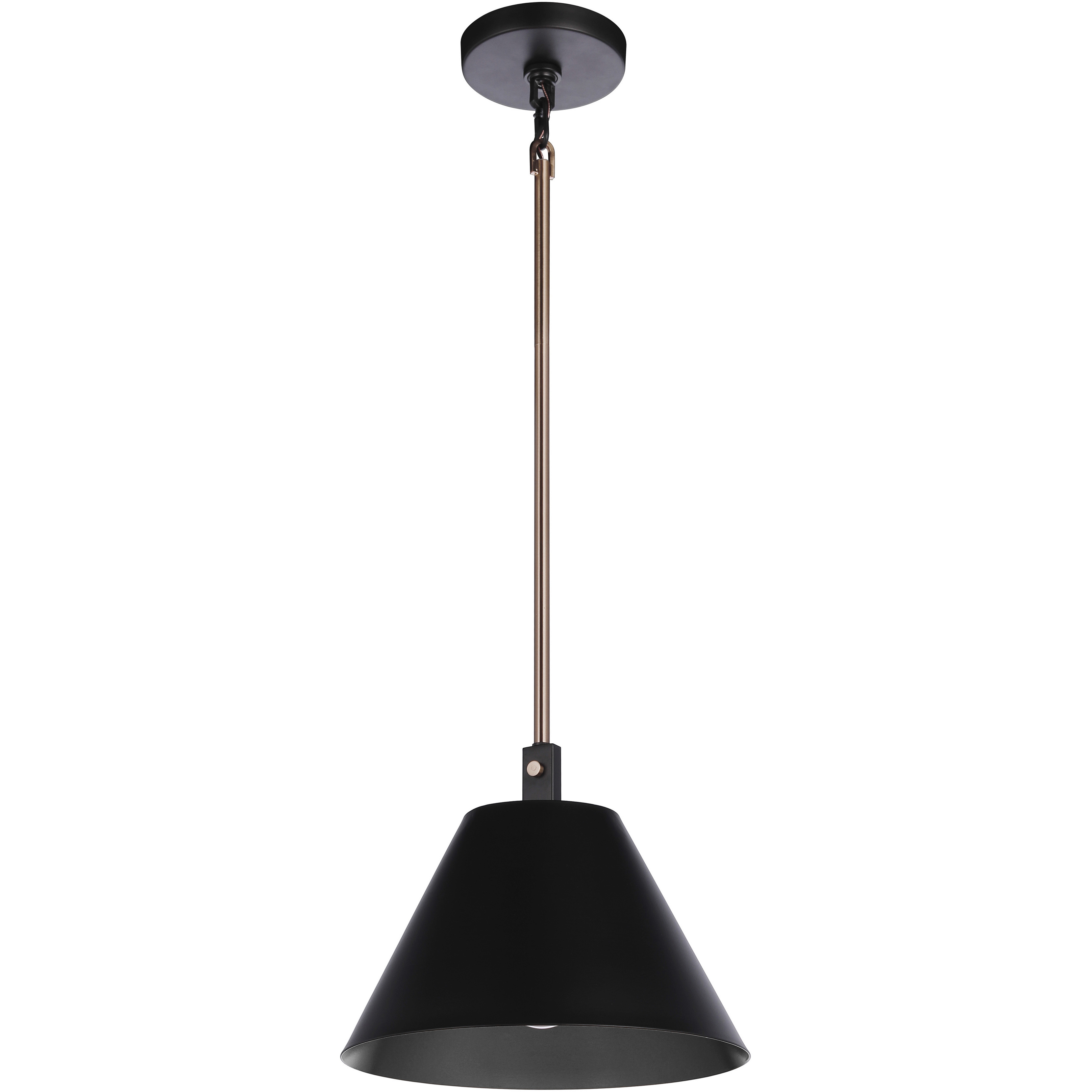 Blake 1 Light 11 inch Flat Black/Satin Brass Pendant Ceiling Light