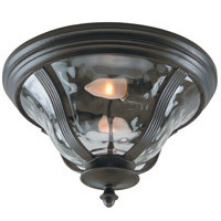 Frances 2 Light 14 inch Oiled Bronze Outdoor Outdoor Flushmount, Medium