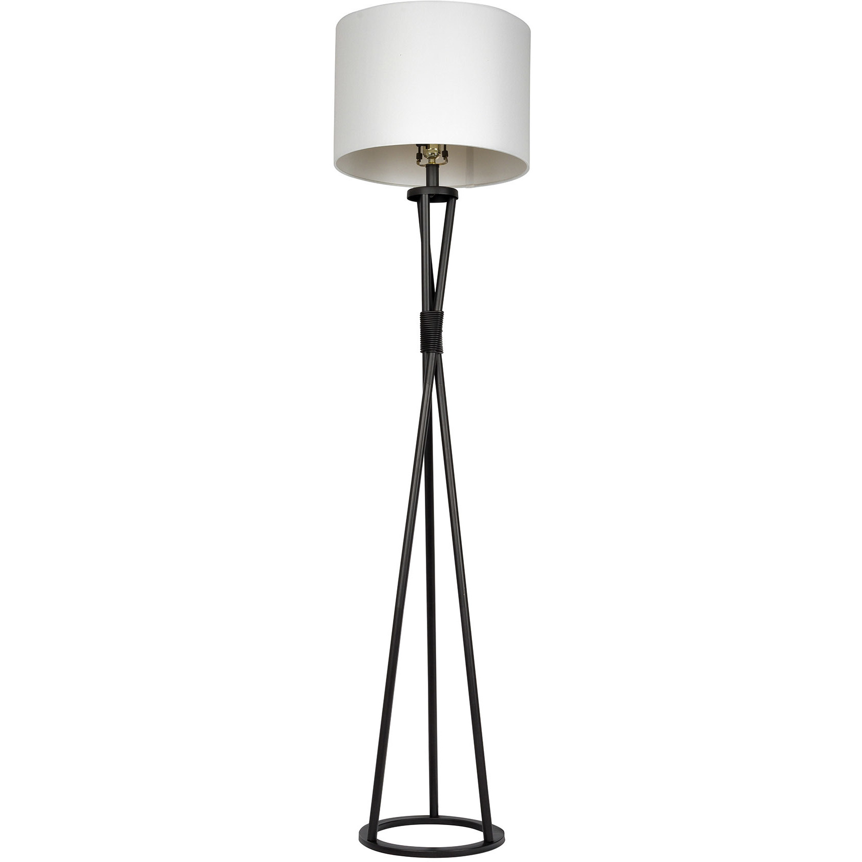 Bejamin 61.75 inch 100 watt Flat Black Floor Lamp Portable Light