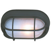 Bulkheads 1 Light 11 inch Textured Black Outdoor Flushmount in Textured Matte Black, Large