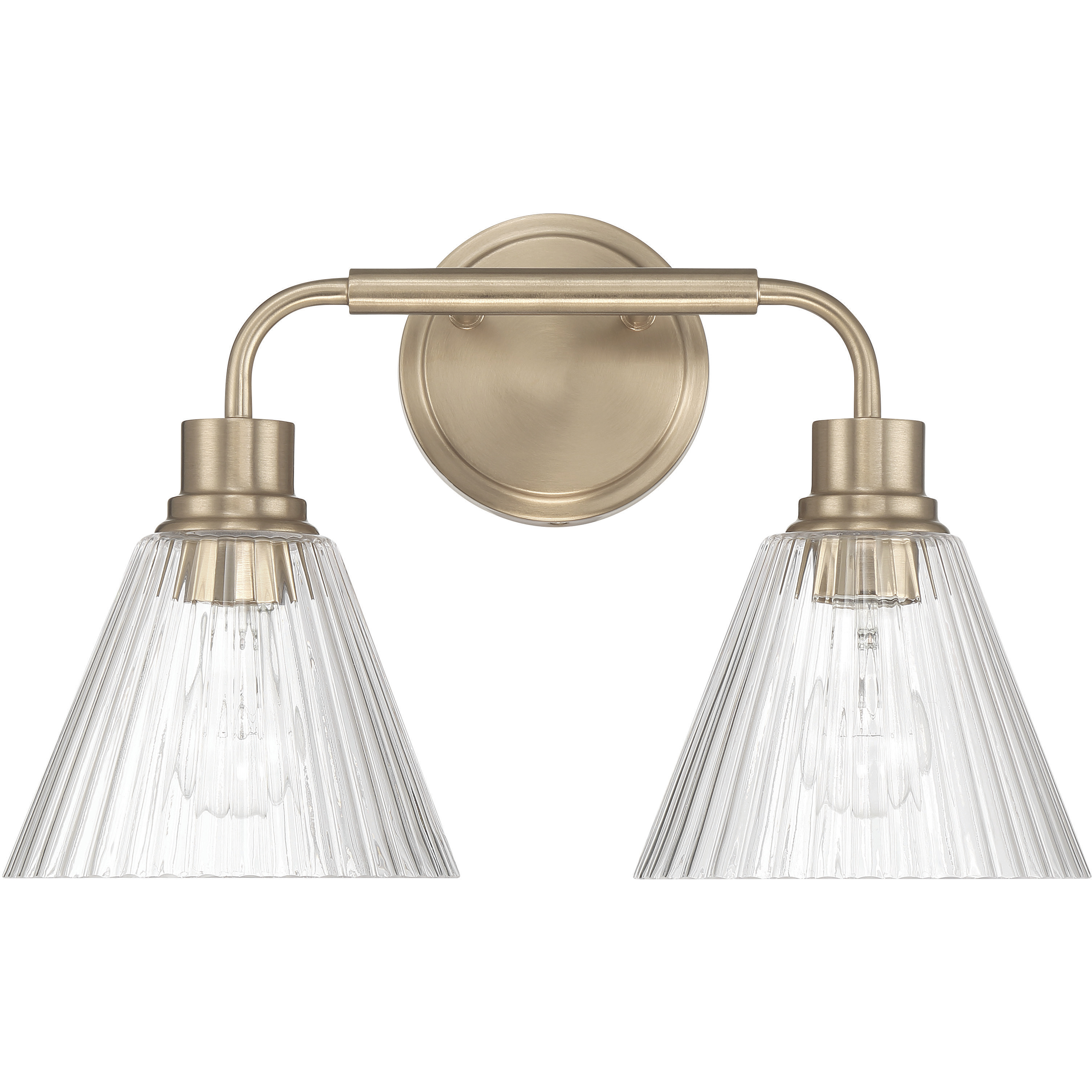 Pleated 2 Light 16.88 inch Premium Bronze Vanity Light Wall Light